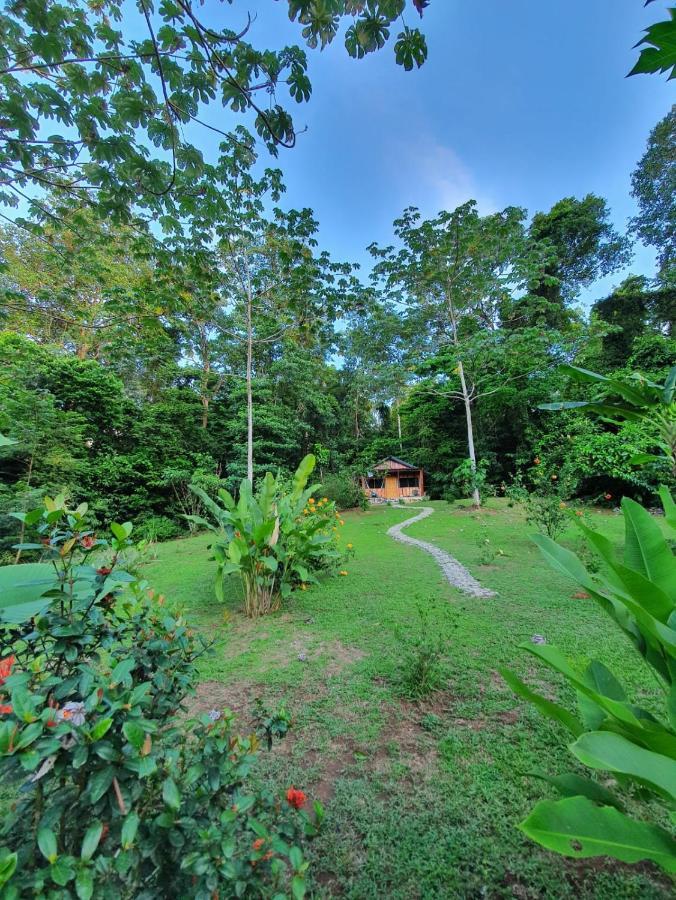 The Sunset Tucano Lodge Drake Bay Luaran gambar