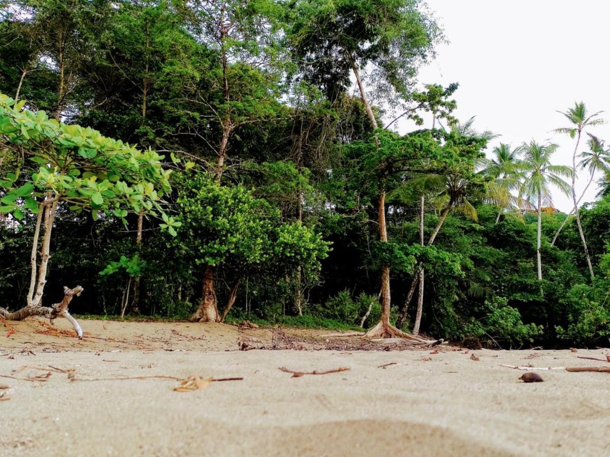 The Sunset Tucano Lodge Drake Bay Luaran gambar
