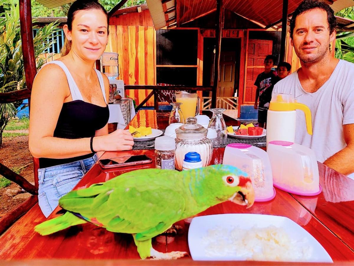 The Sunset Tucano Lodge Drake Bay Luaran gambar