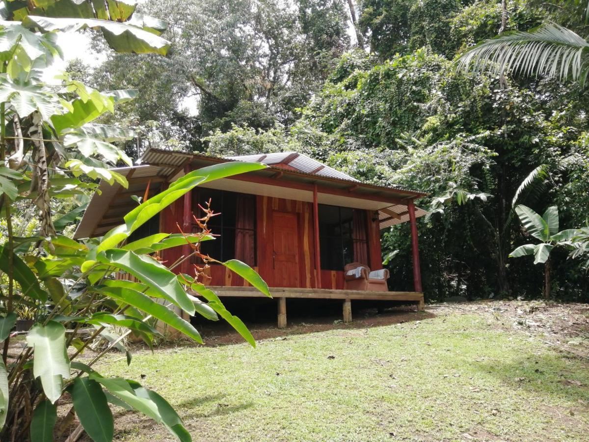 The Sunset Tucano Lodge Drake Bay Luaran gambar